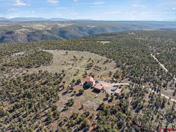 a bunch of flowers are in a garden