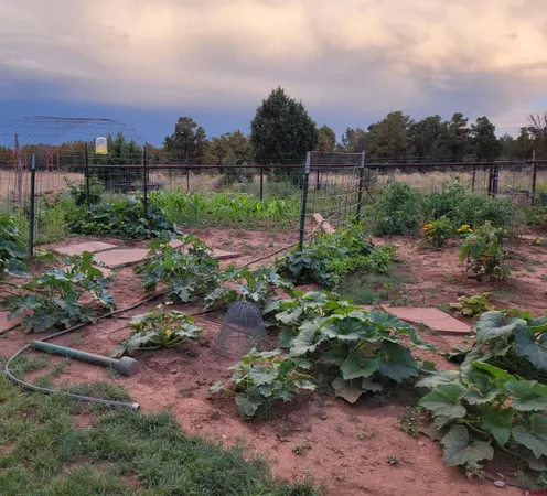 a view of outdoor space and city view