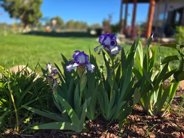 $889,000 | 73 Moondance Trail, Norwood, CO 81423