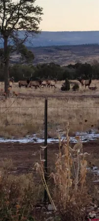 $889,000 | 73 Moondance Trail, Norwood, CO 81423