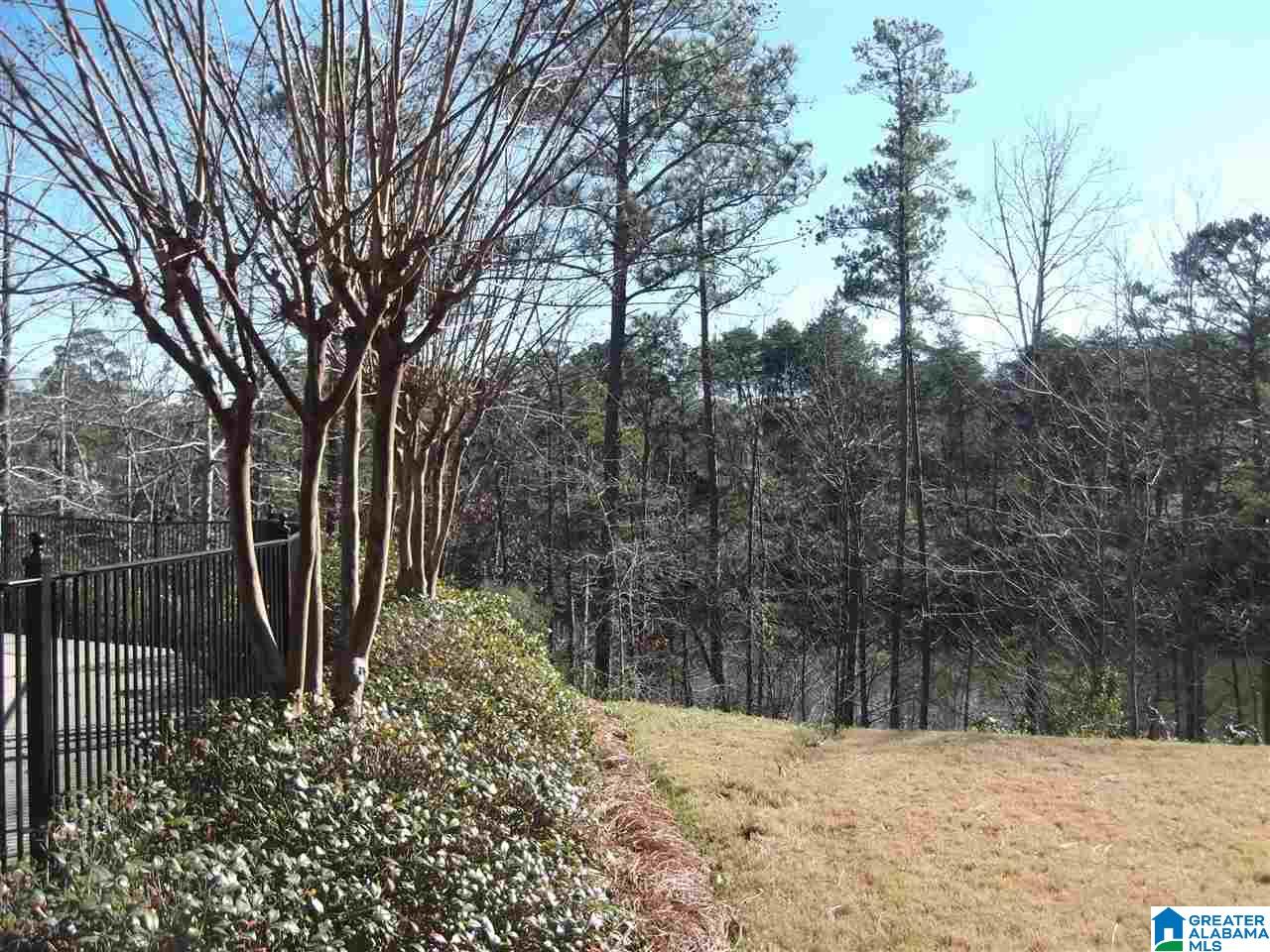 1311 Inverness Cove Drive Birmingham, AL 35242 - Photo 36 of 37