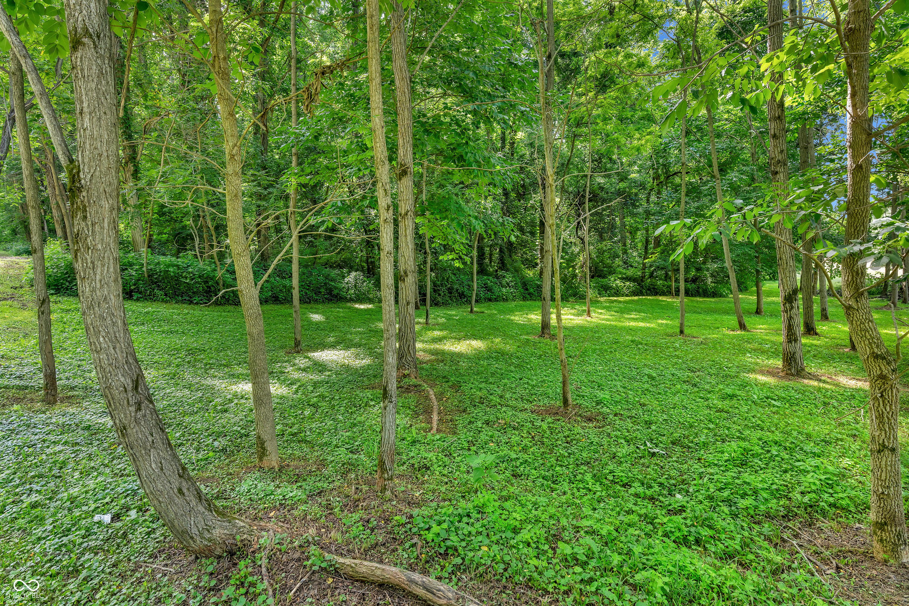 12321 Fertig Road Poland, IN 47868 - Photo 43 of 70