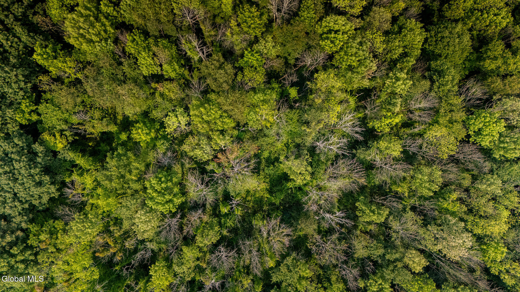Lot 3 Sweet Road Stillwater, NY 12170 - Photo 2 of 12 DJI_20240930113647_0463_D