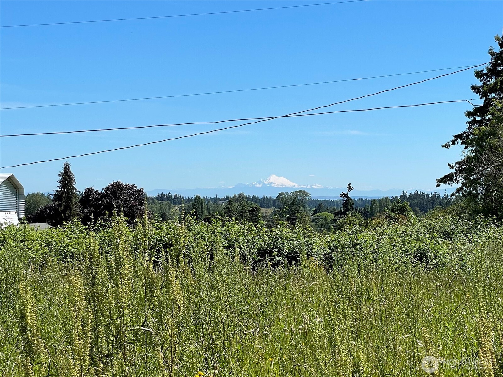 872 South Still Road Sequim, WA 98382 - Photo 11 of 11 Gallery Image 11