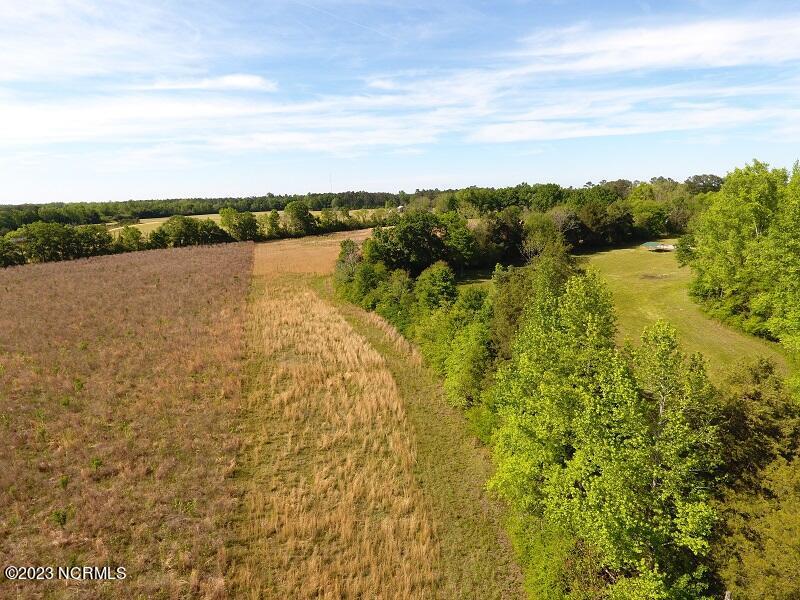 Lot #10 Oaky Point Road Latta, SC 29565 - Photo 3 of 9 IMG_1219