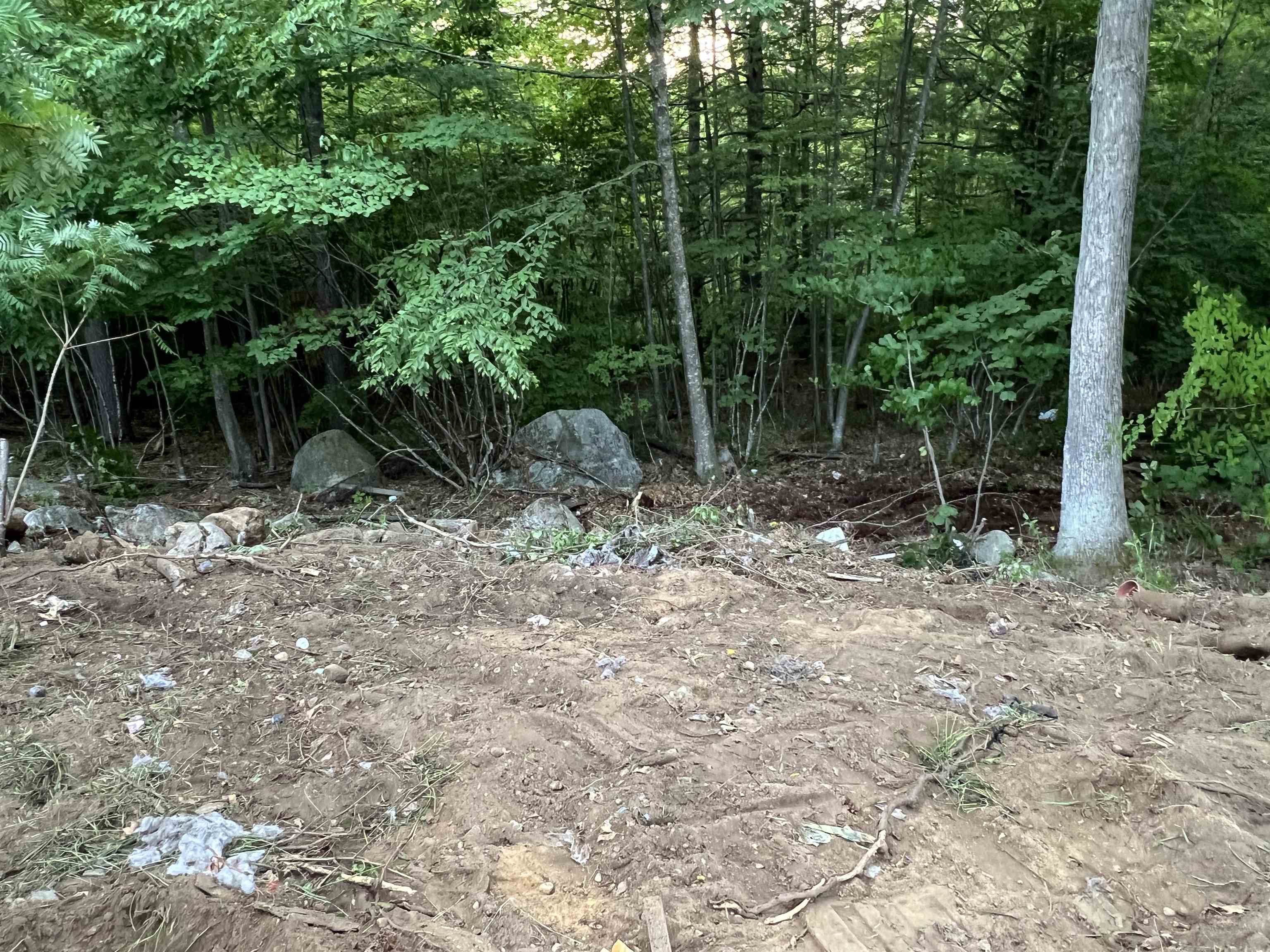 240 Robert Rogers Road Dunbarton, NH 03046 - Photo 24 of 26