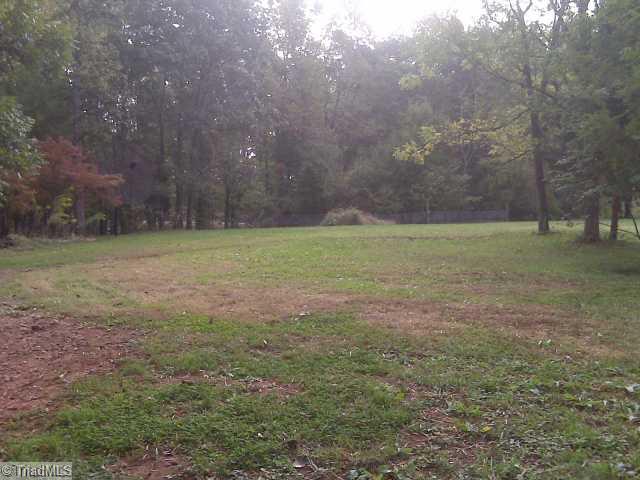 3667 Old Red Cross Road Climax, NC 27233 - Photo 8 of 8 Land/Lot.