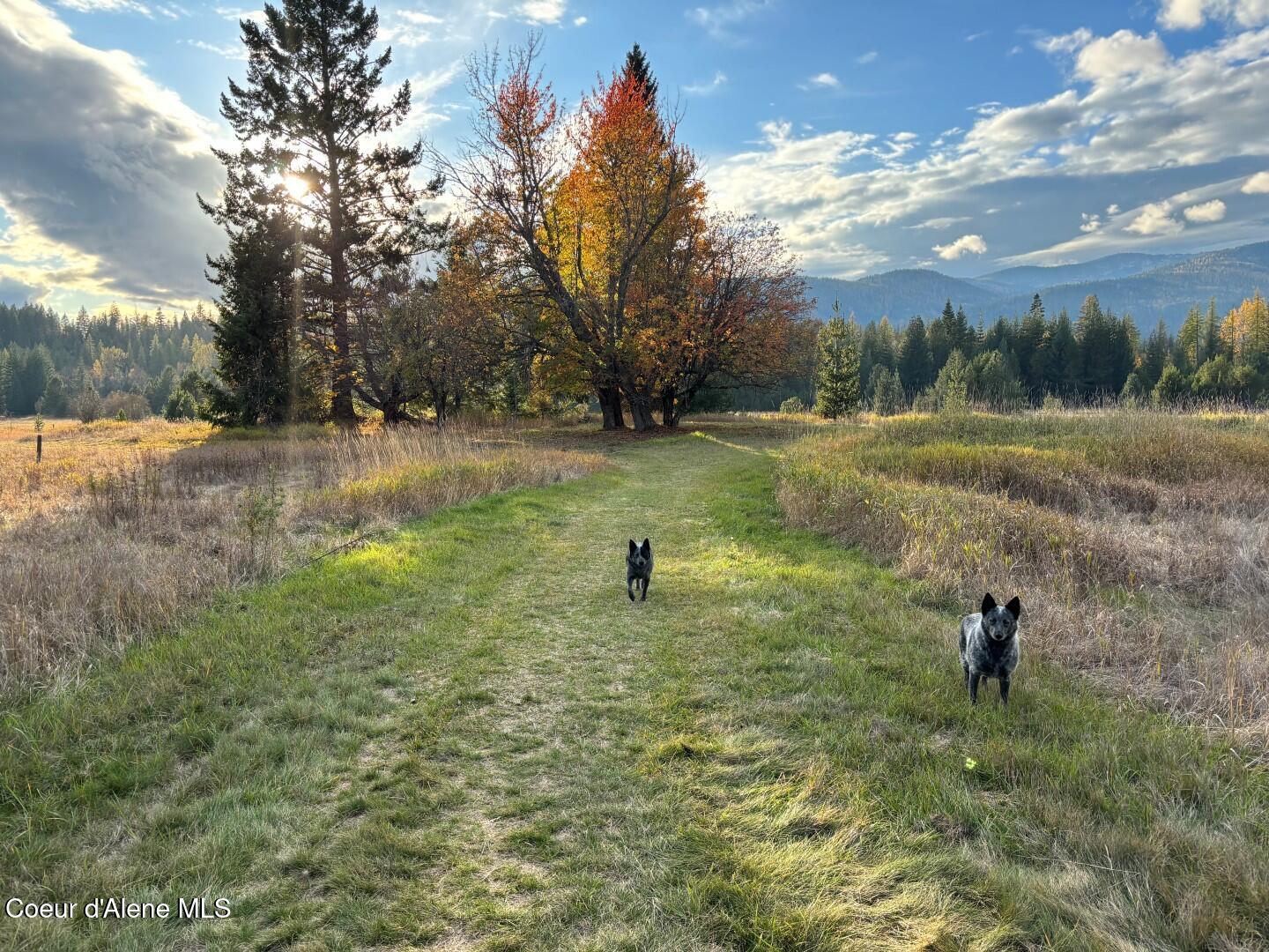 2222 Hidden Valley Road Sandpoint, ID 83864 - Photo 80 of 93 .