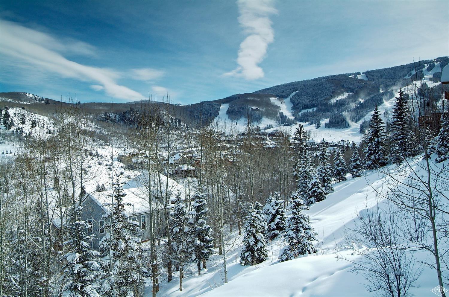 75 Borders Road Beaver Creek, CO 81620 - Photo 16 of 16 Additional Photo