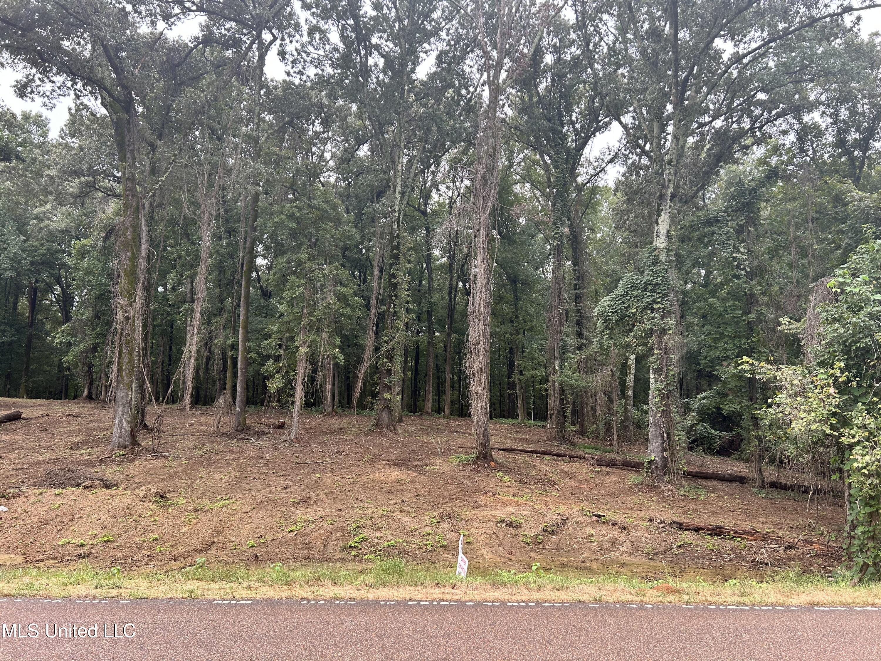 3 Fogg Road Nesbit, MS 38651 - Photo 1 of 1 IMG_6828