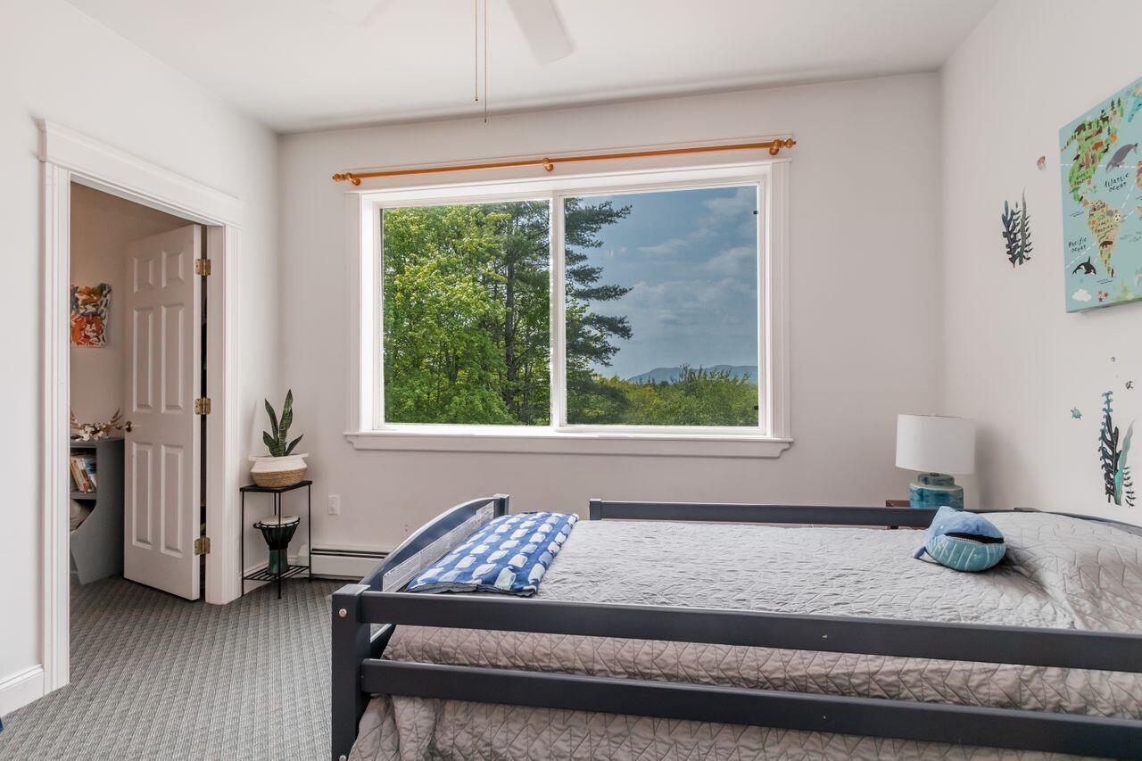 19 Conforte Hill Road Sebago, ME 04029 - Photo 13 of 61 20230523ER-71035
