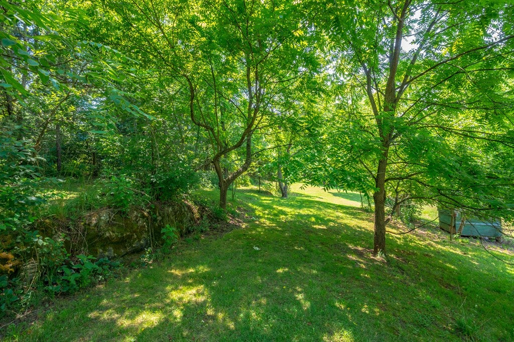 179 Sanders Mines Road Max Meadows, VA 24360 - Photo 34 of 54 Gallery Image 34