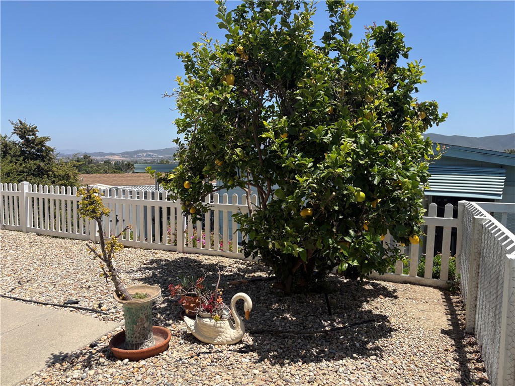 650 South Rancho Santa Fe Road, Unit 323 San Marcos, CA 92078 - Photo 8 of 22 Tree in Back