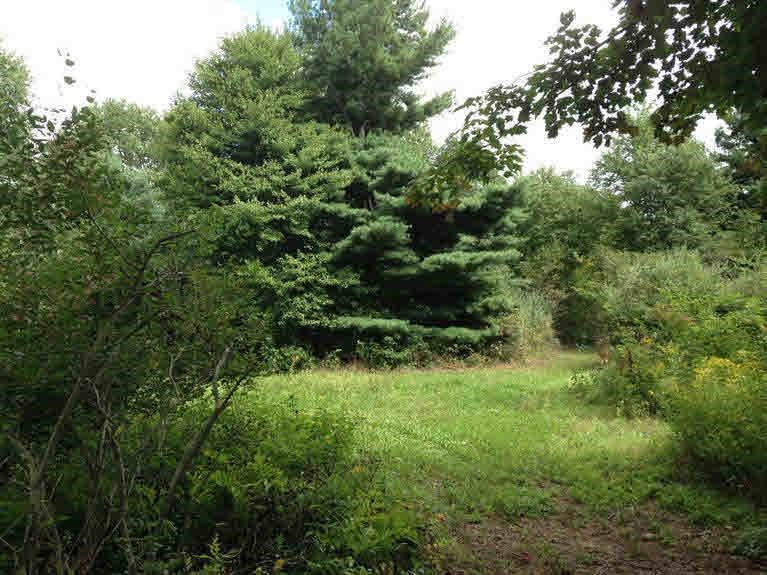 0 South Sandusky Road Sandusky, MI 48471 - Photo 2 of 9 20432073-1.JPG
