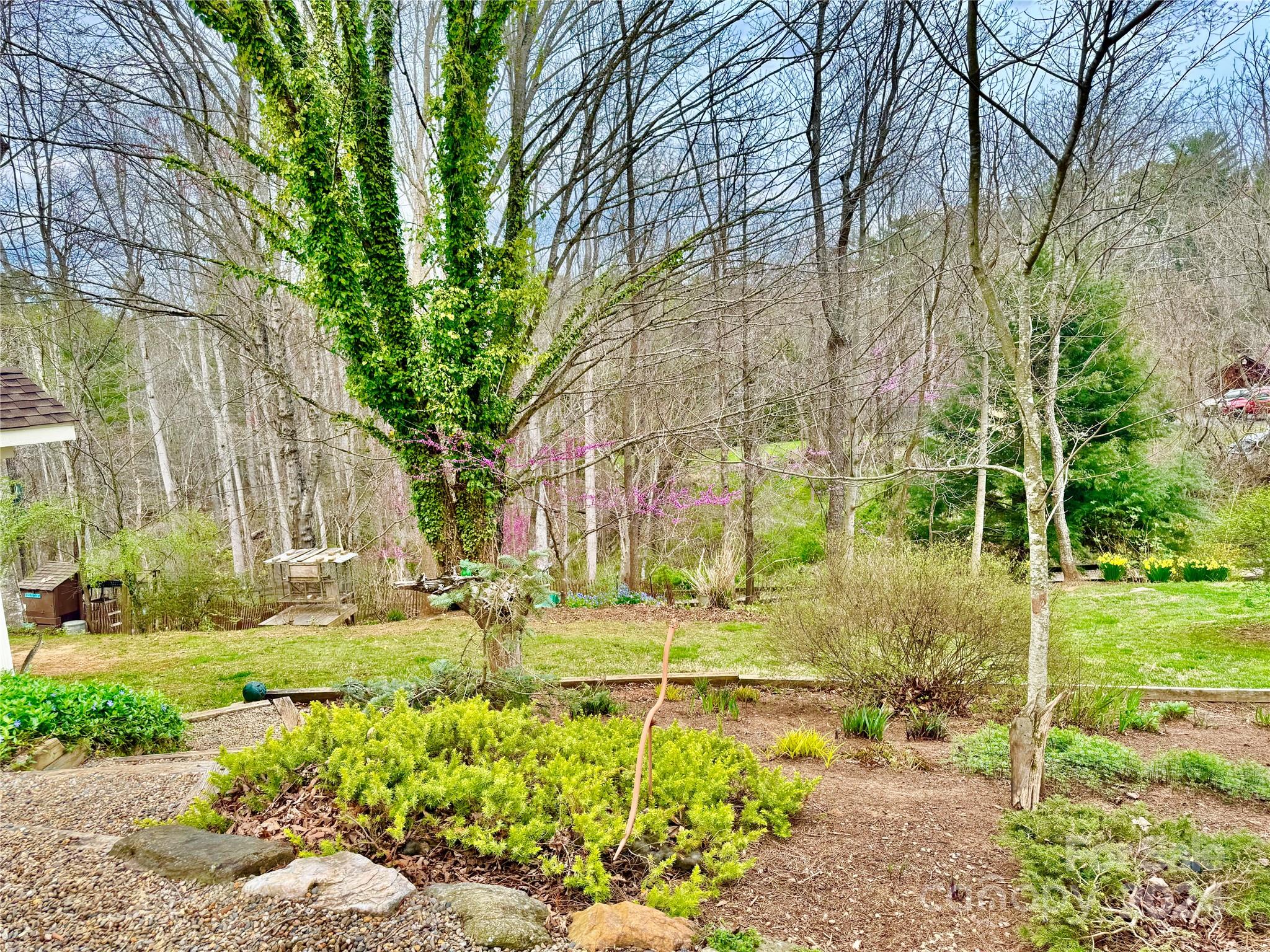 1161 Alexander Road Leicester, NC 28748 - Photo 37 of 43 Gallery Image 37