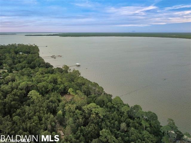 10346 County Road 99 Lillian, AL 36549 - Photo 5 of 11