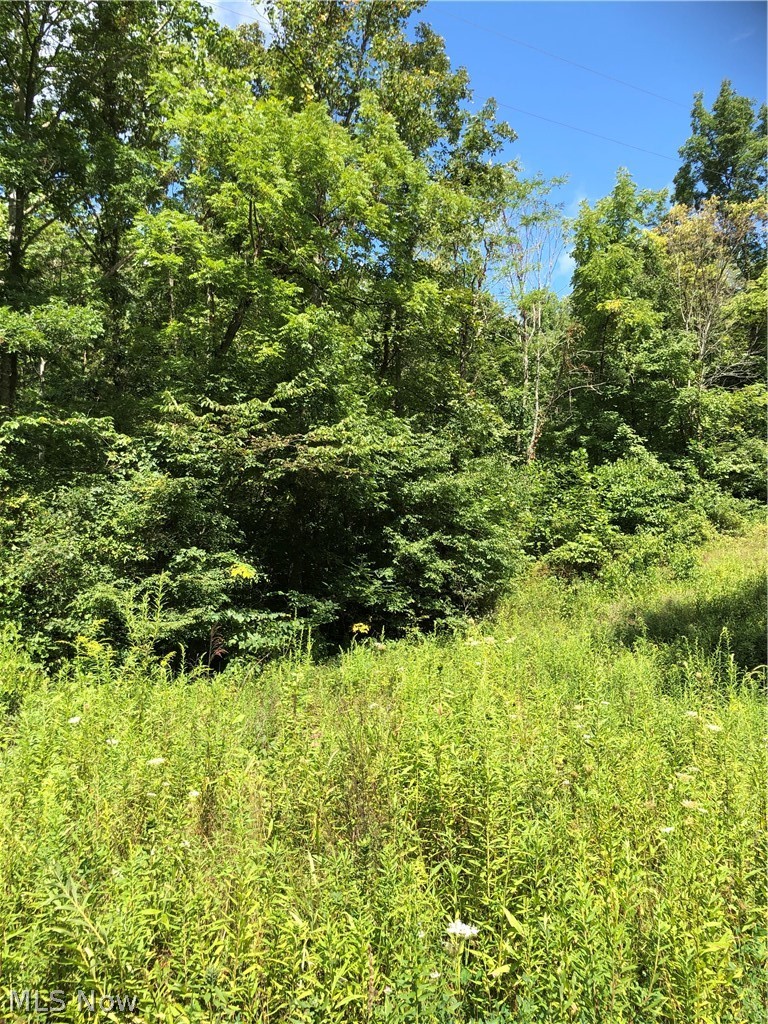 Wion Ridge Road Chandlersville, OH 43727 - Photo 28 of 32 Gallery Image 28