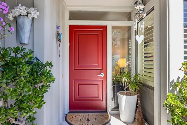a potted plant in front of a door