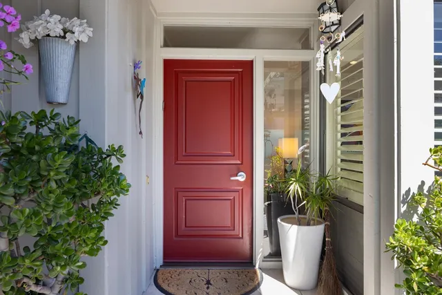 a potted plant in front of a door