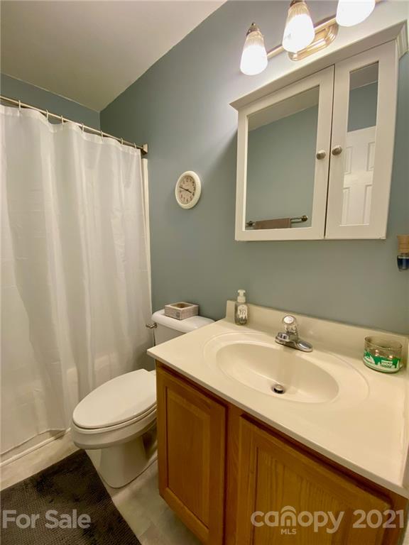 1168 Balfour Quarry Road Salisbury, NC 28146 - Photo 25 of 47 a bathroom with a sink a toilet and mirror
