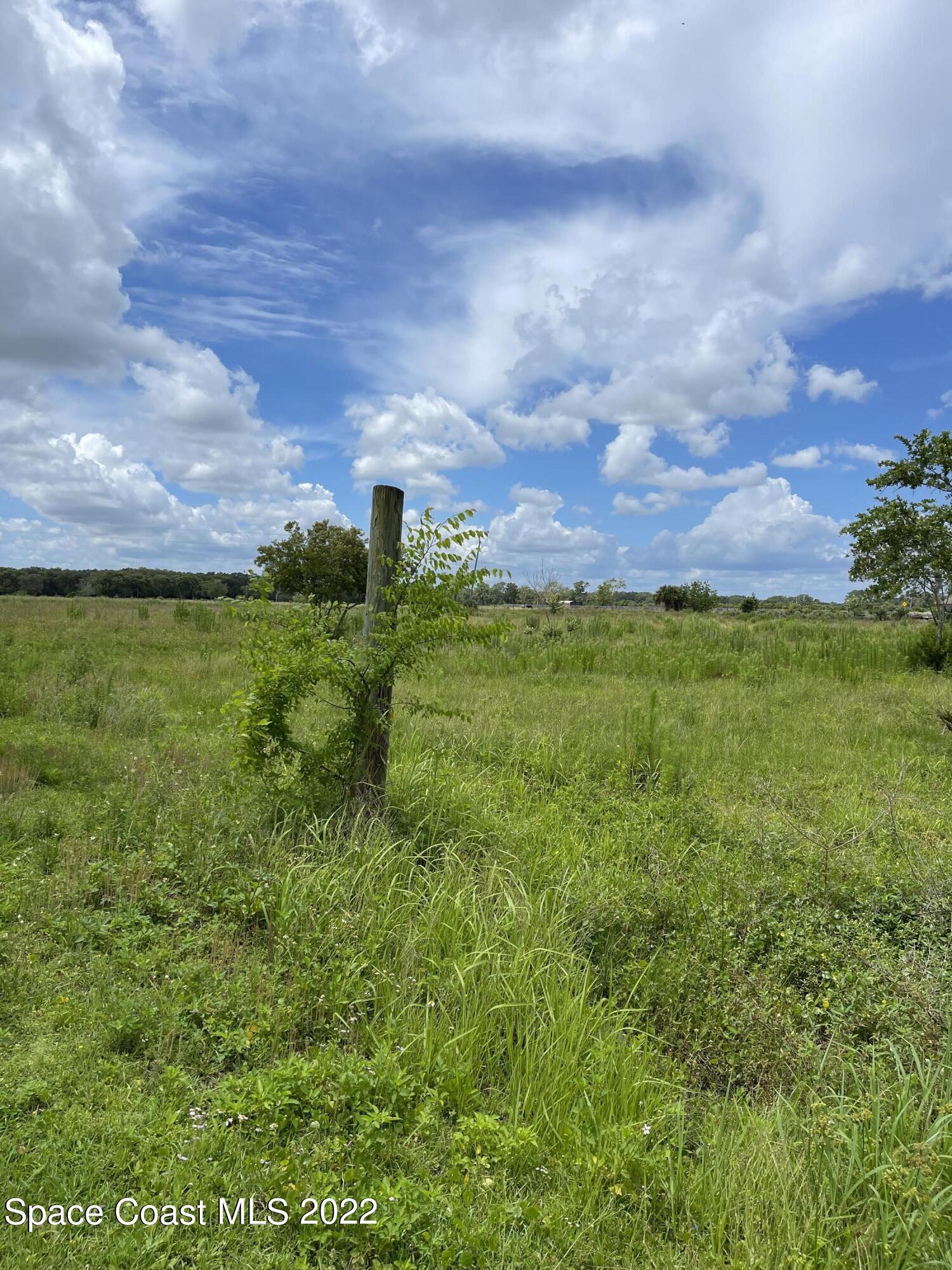 2930 Flounder Creek Road Mims, FL 32754 - Photo 5 of 13 IMG_3634