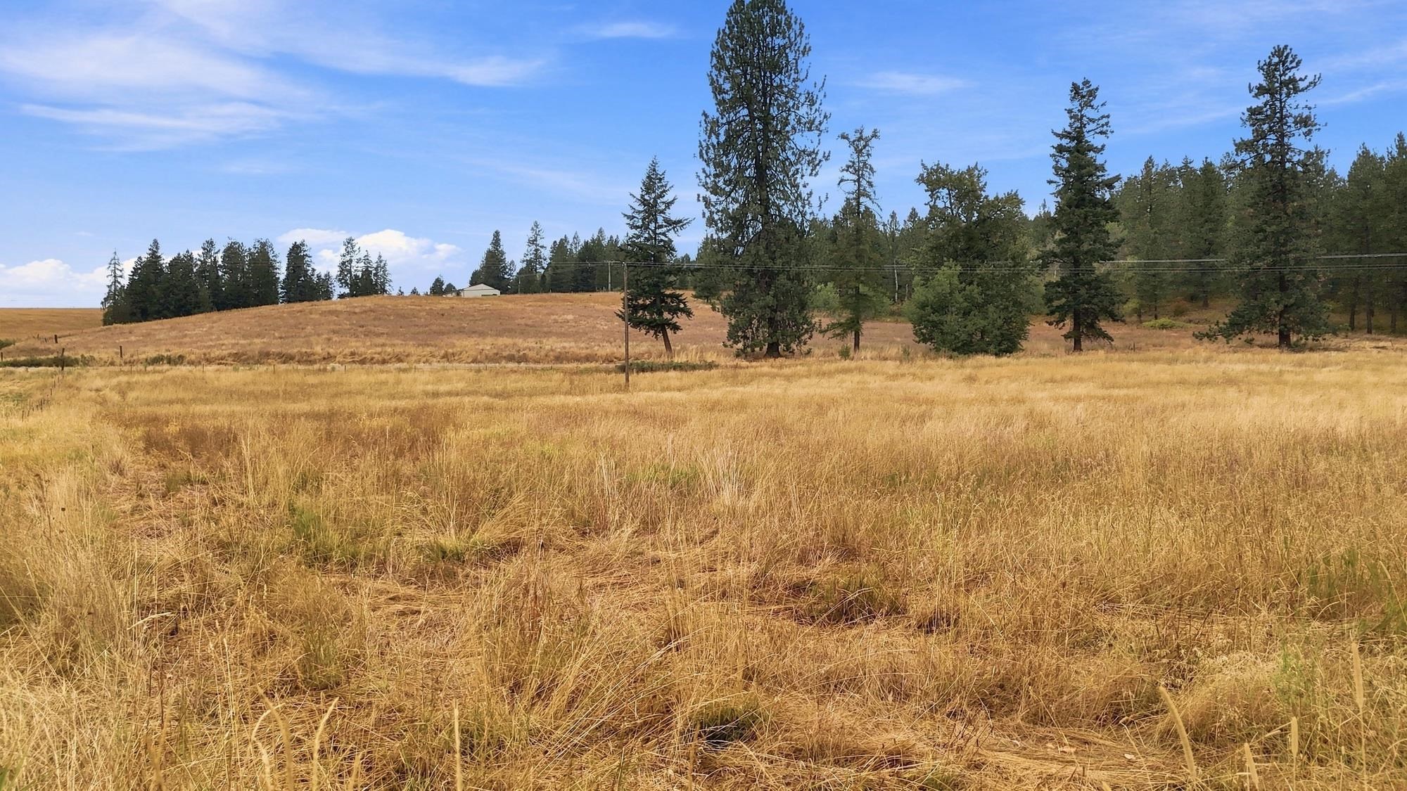 2702 Allen Road Elk, WA 99009 - Photo 17 of 23 Gallery Image 17