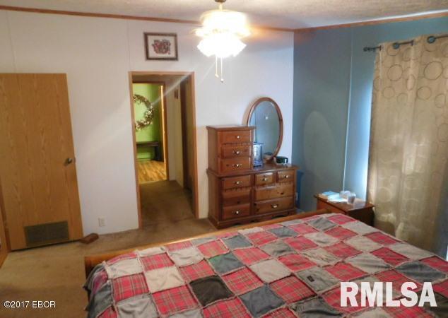 6485 Apple Ridge Road Iuka, IL 62849 - Photo 19 of 37