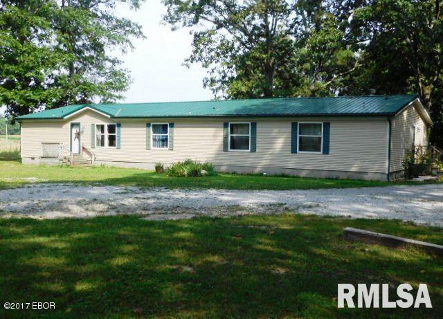 6485 Apple Ridge Road Iuka, IL 62849 - Photo 3 of 37