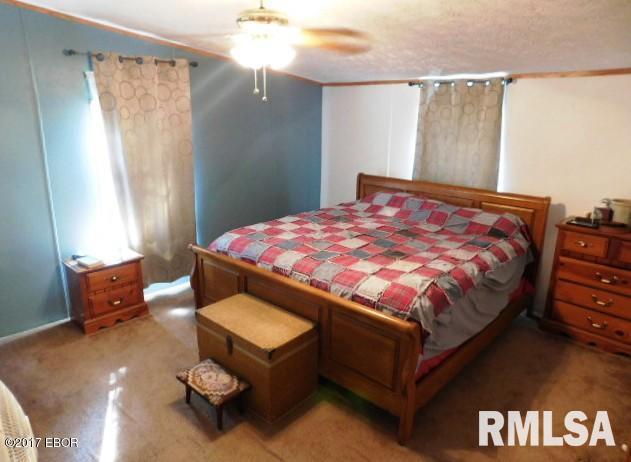 6485 Apple Ridge Road Iuka, IL 62849 - Photo 21 of 37