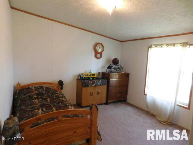 6485 Apple Ridge Road Iuka, IL 62849 - Photo 25 of 37