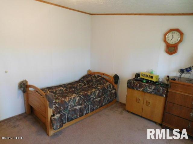 6485 Apple Ridge Road Iuka, IL 62849 - Photo 26 of 37