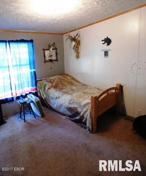 6485 Apple Ridge Road Iuka, IL 62849 - Photo 27 of 37