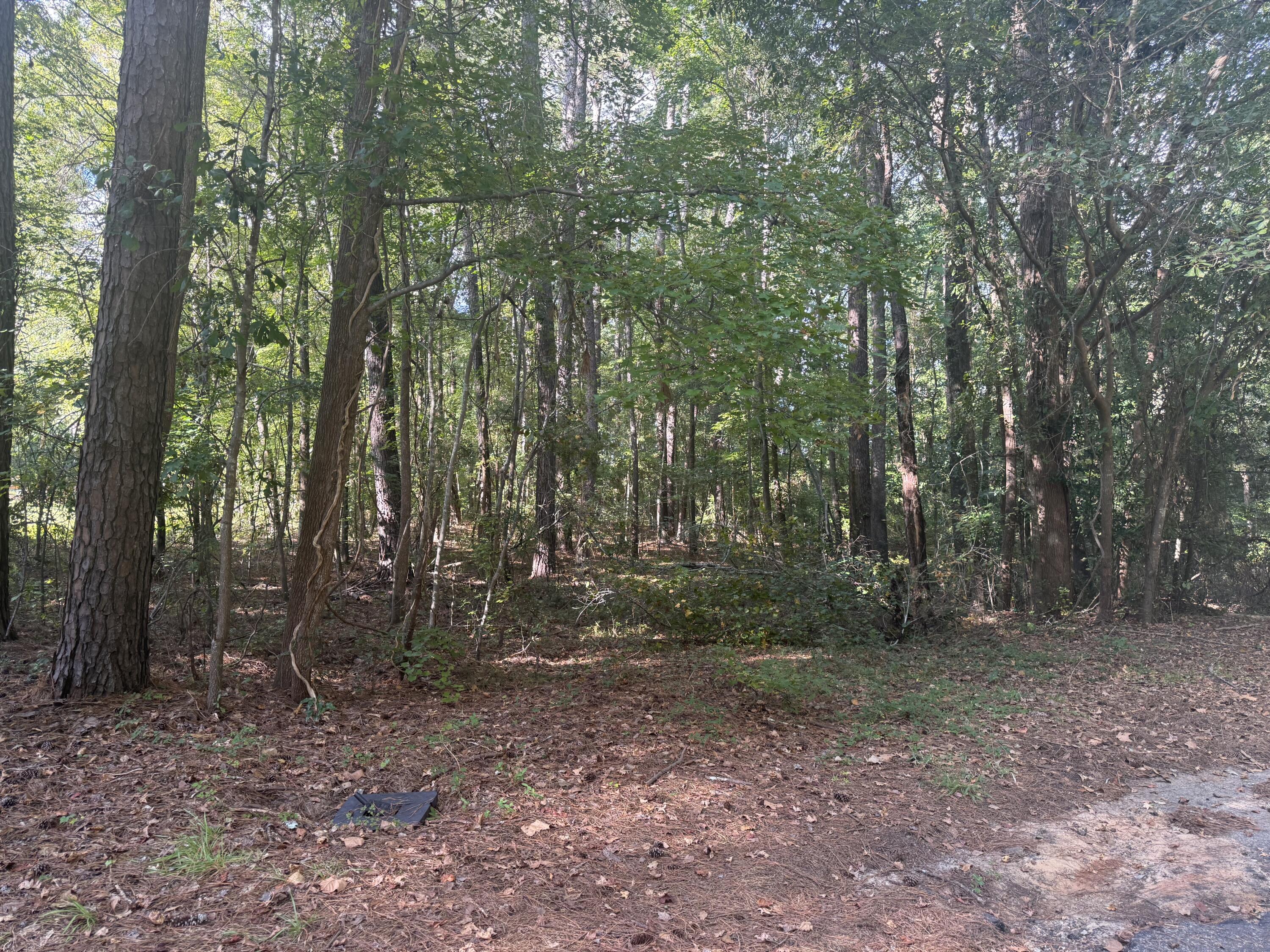 0 Lynnay Drive, Unit B Rembert, SC 29128 - Photo 2 of 6