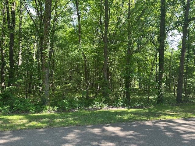 0 Old Creek Road Memphis, TN 38125 - Photo 2 of 4 View of landscape with a wooded view