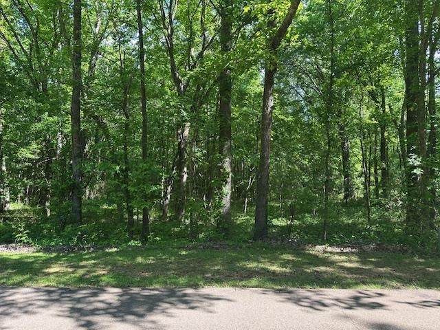 0 Old Creek Road Memphis, TN 38125 - Photo 3 of 4 View of landscape featuring a wooded view