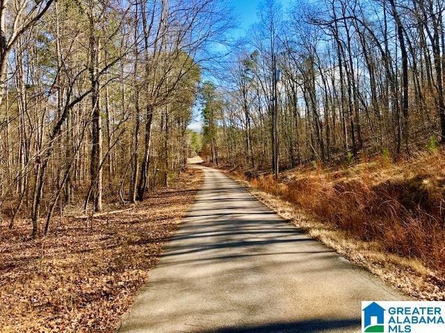 241 Valley Creek Road Piedmont, AL 36272 - Photo 2 of 13