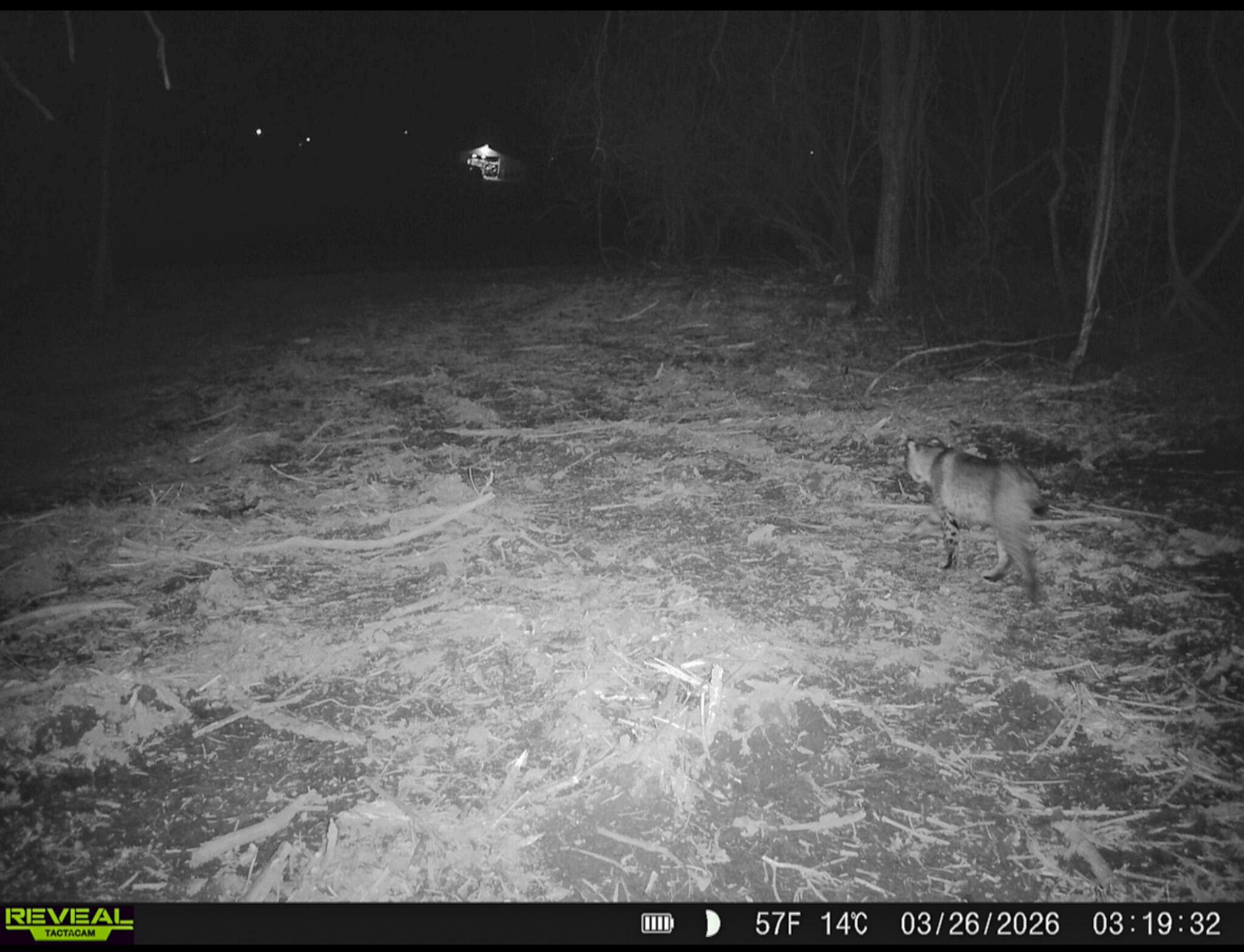 9874 Cincinnati-Zanesville Road Southwest Amanda, OH 43102 - Photo 46 of 50 cinci-zane rd sw-46
