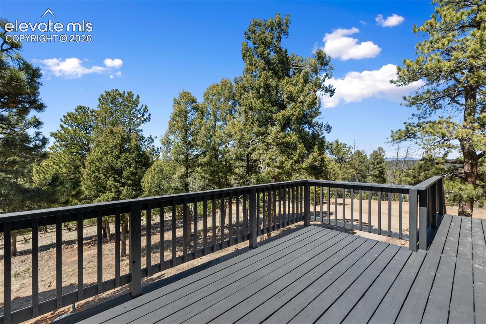 18 Mt Powderhorn Road Florissant, CO 80816 - Photo 4 of 38 Gallery Image 4