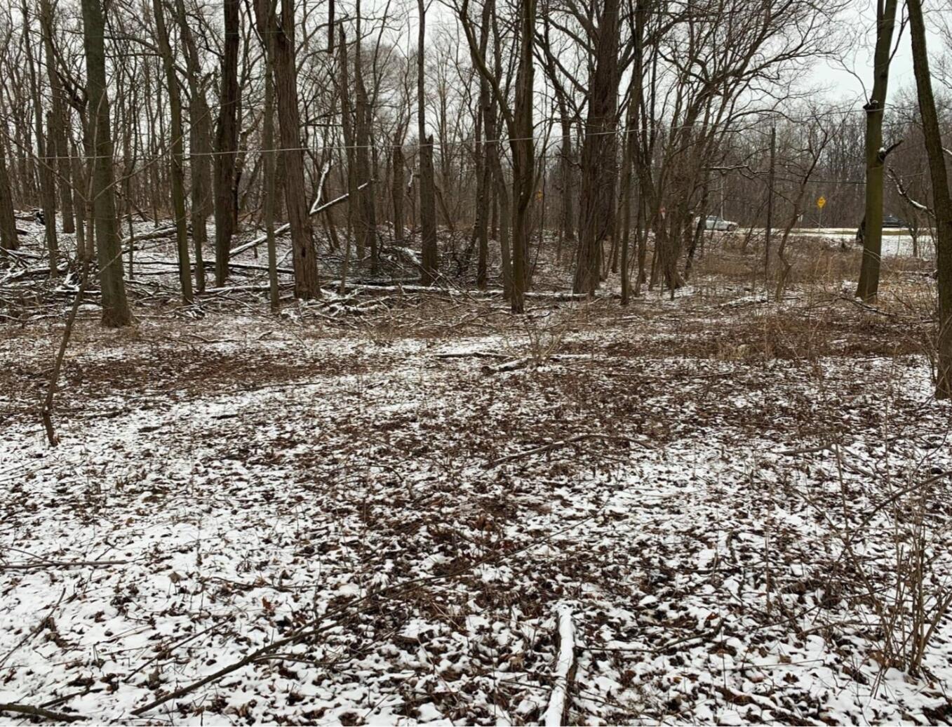 2089 Crisman Road Portage, IN 46368 - Photo 6 of 6 a view of outdoor space with trees