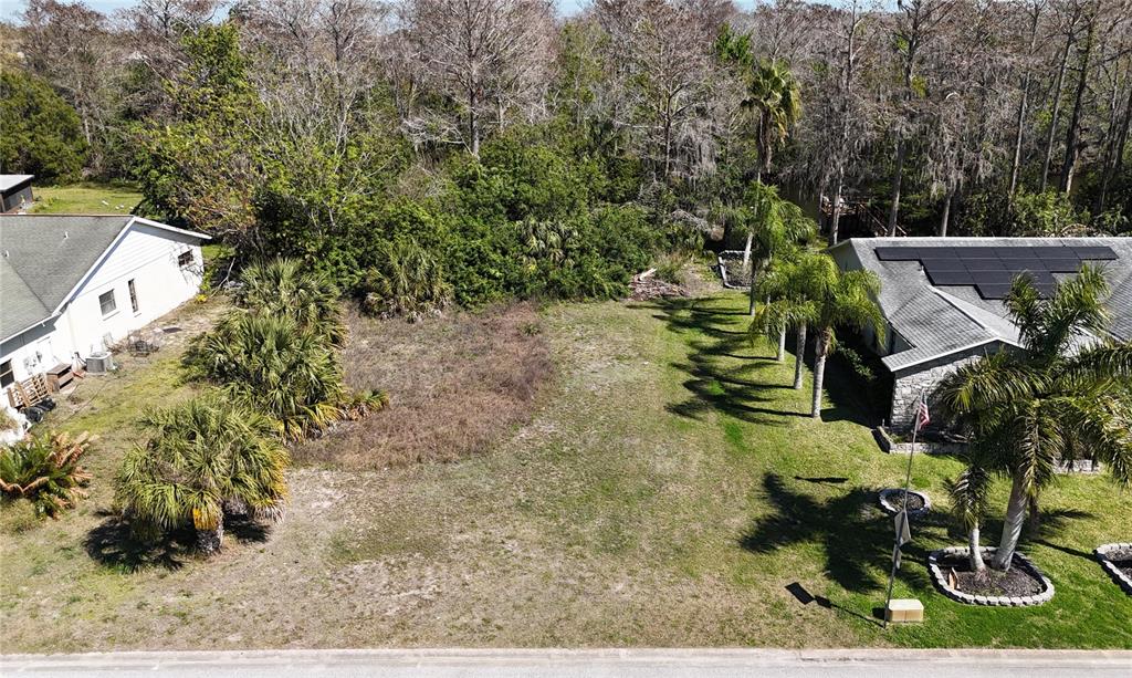Whitby Road Hudson, FL 34667 - Photo 27 of 28 a backyard of a house with lots of green space