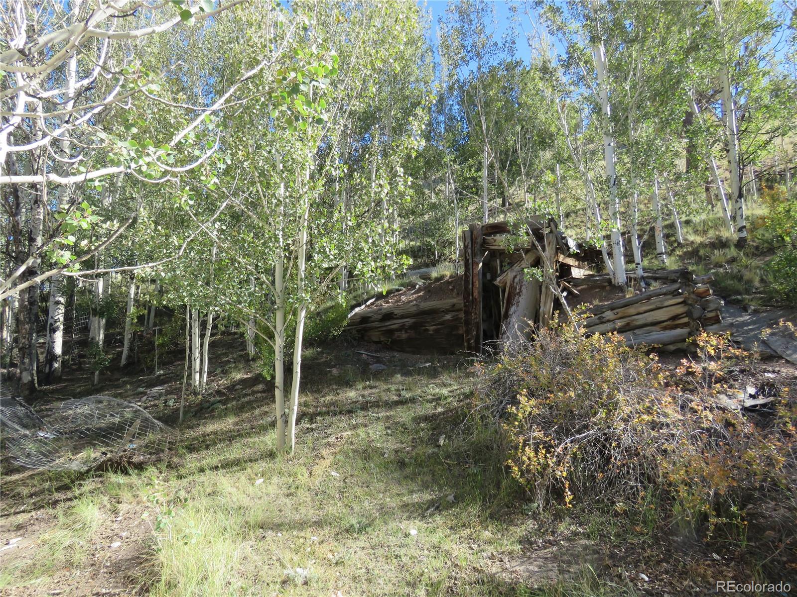 12864 Elkhorn Road Como, CO 80432 - Photo 13 of 48 Gallery Image 13