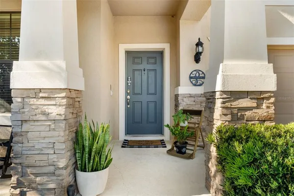 a view of a potted plant in front of a house
