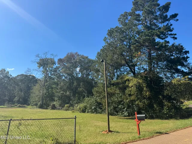 $19,000 | 308 Gulledge Drive, Tylertown, MS 39667