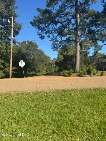 $19,000 | 308 Gulledge Drive, Tylertown, MS 39667