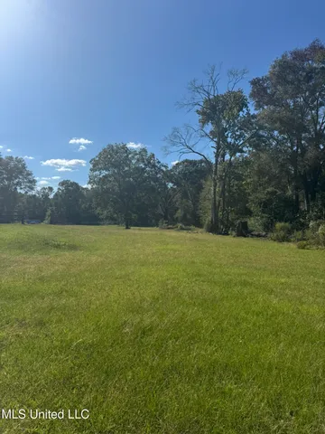 $19,000 | 308 Gulledge Drive, Tylertown, MS 39667