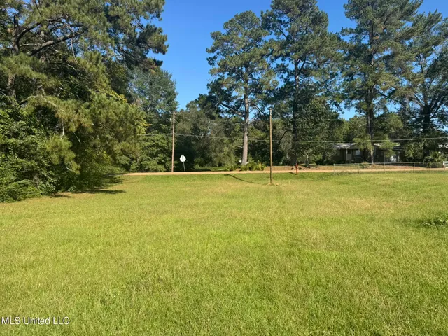 $19,000 | 308 Gulledge Drive, Tylertown, MS 39667