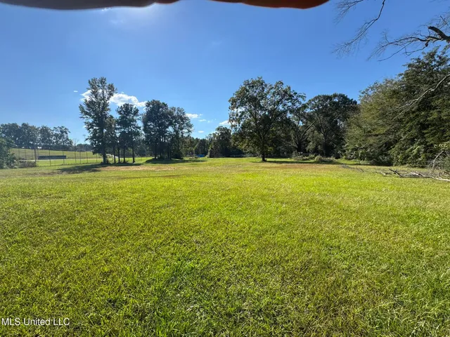 $19,000 | 308 Gulledge Drive, Tylertown, MS 39667
