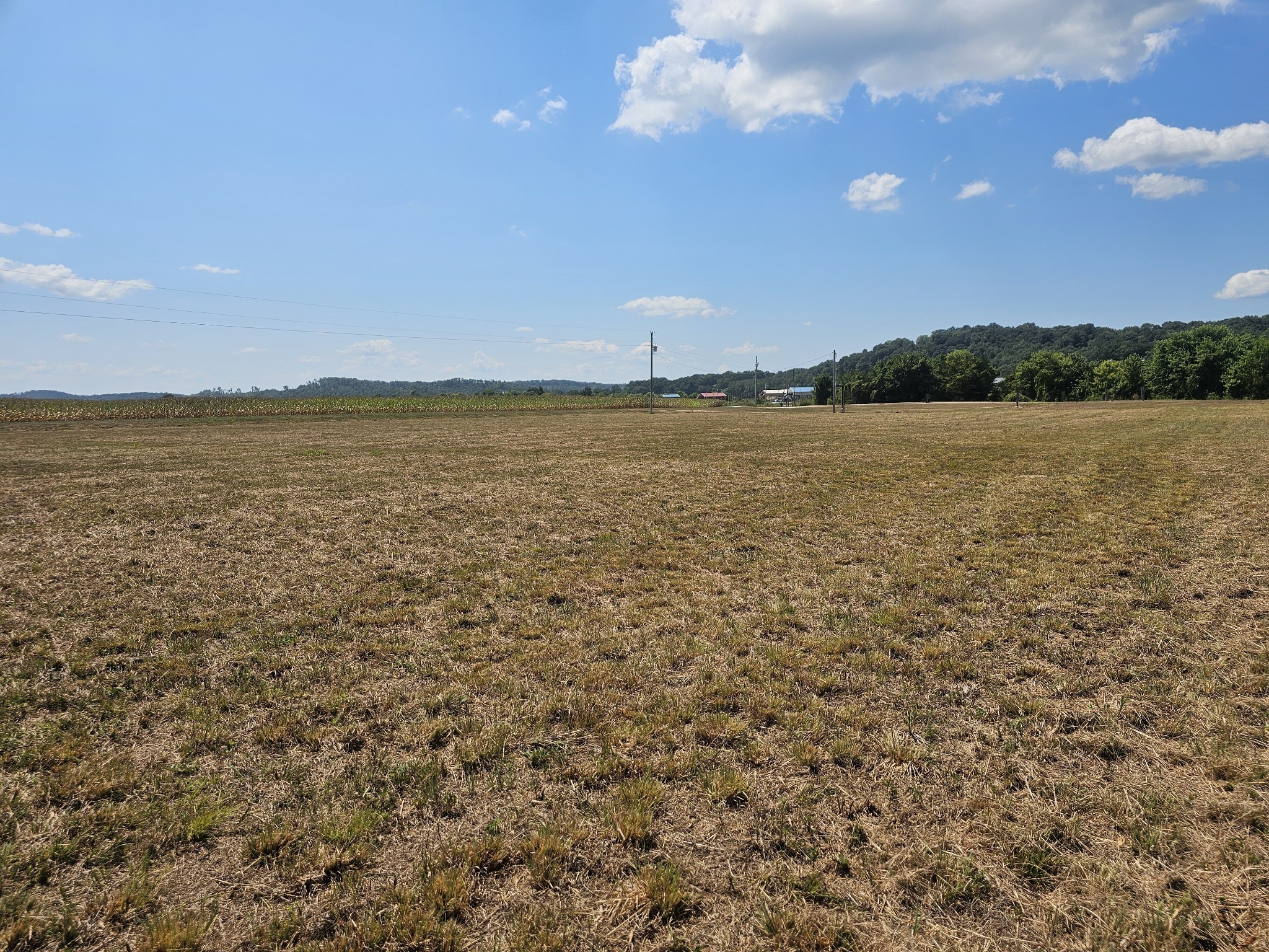 2427 Hardin Bottom River Road Clifton, TN 38425 - Photo 13 of 31 a view of lake and mountain