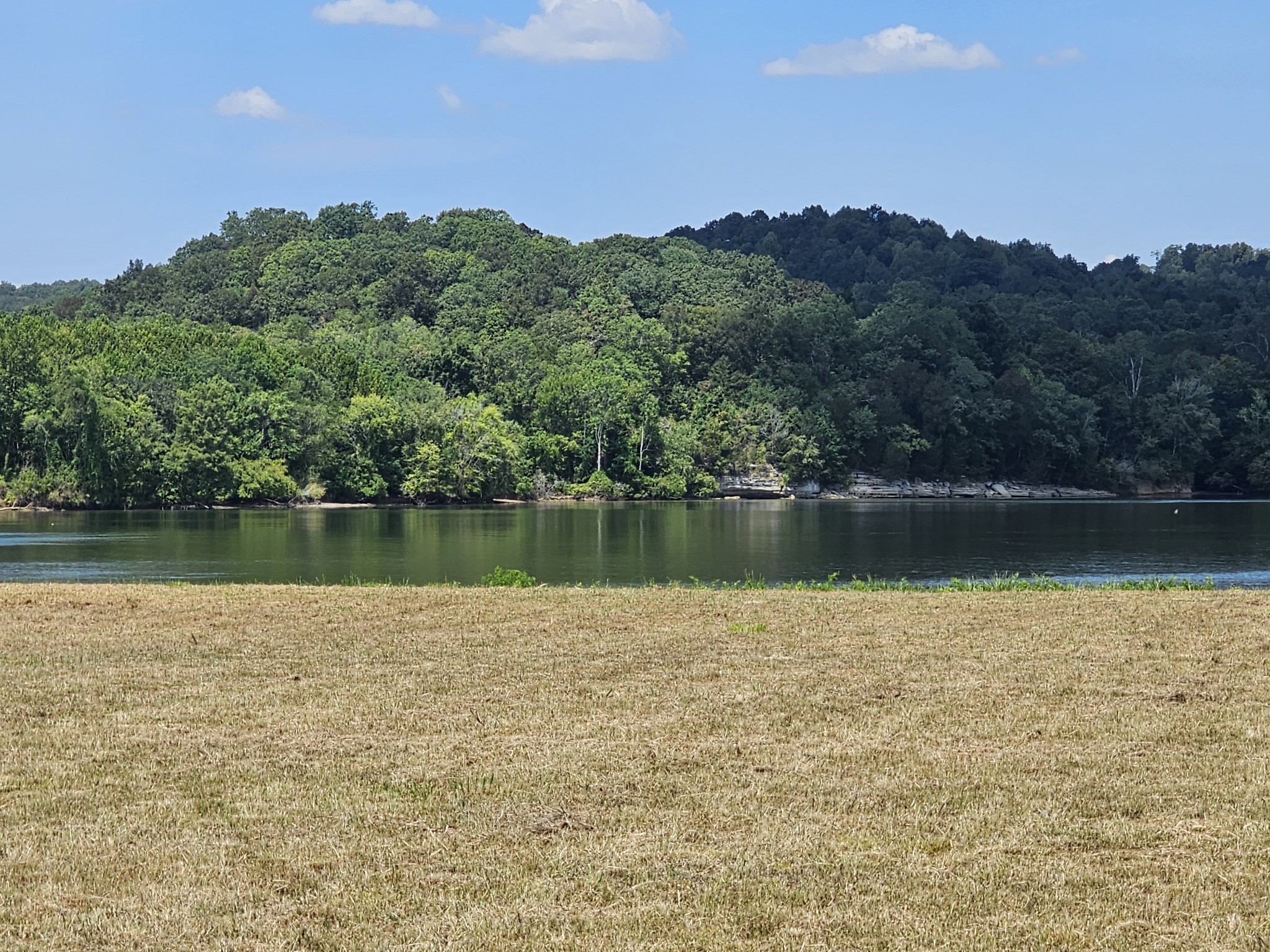 2427 Hardin Bottom River Road Clifton, TN 38425 - Photo 4 of 31 a view of a lake