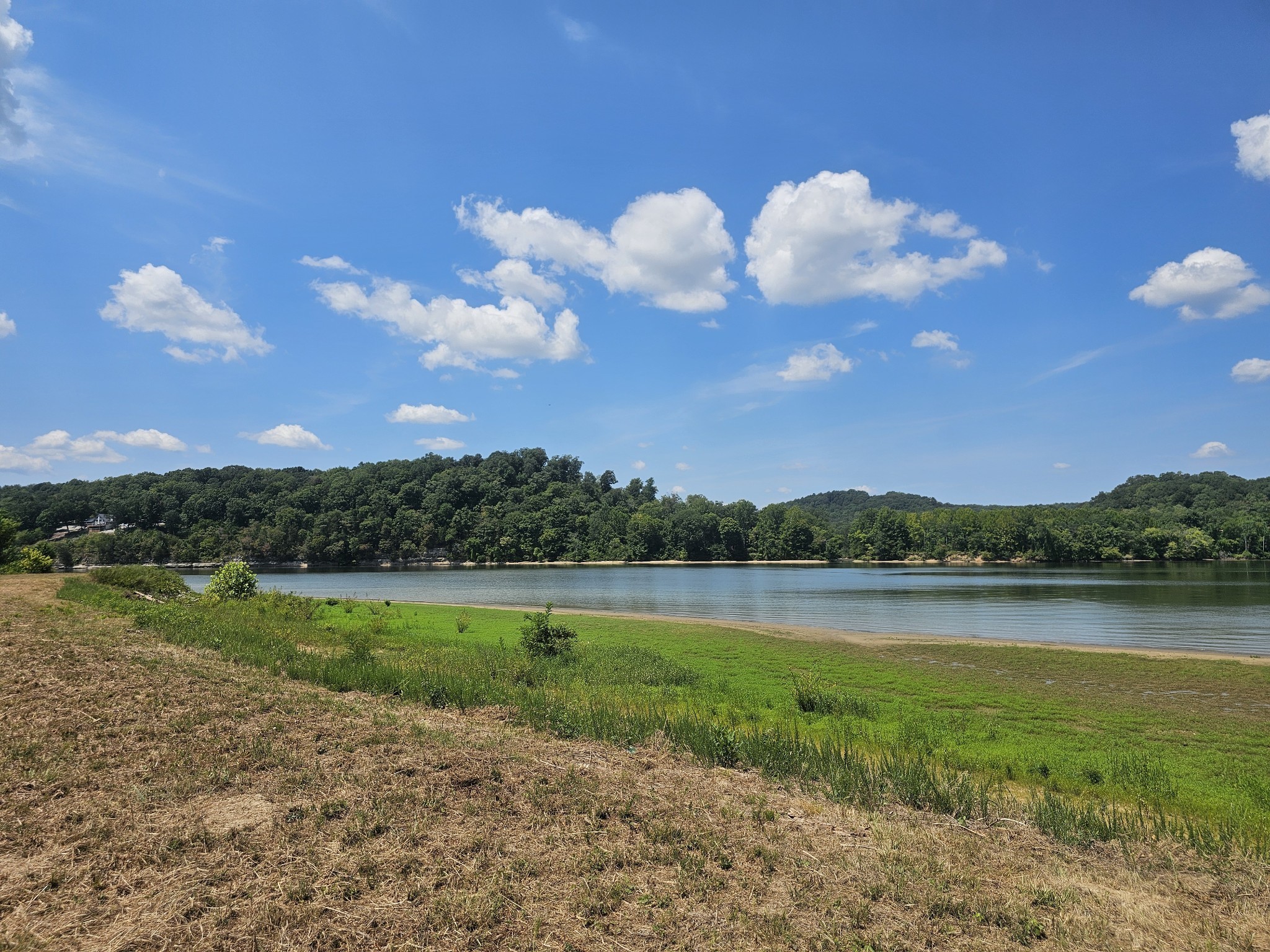 2427 Hardin Bottom River Road Clifton, TN 38425 - Photo 10 of 31 a view of lake and mountain